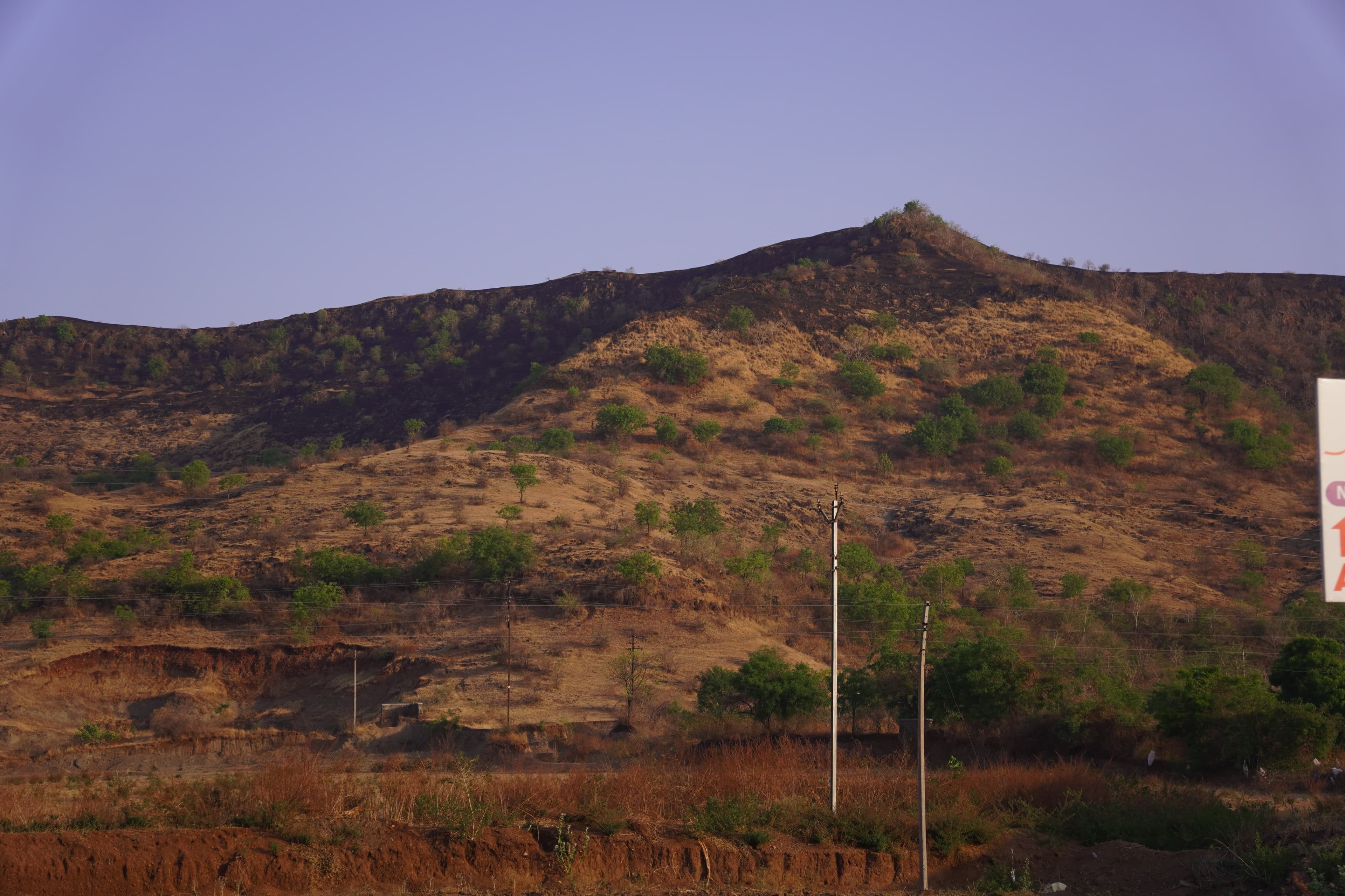 Gallery image 10